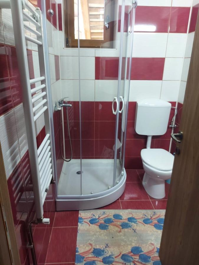 Vila Ioana Slănic-Moldova Exterior foto